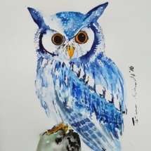 Blaue Eule 120,00 € Größe: 40x40 cm Original