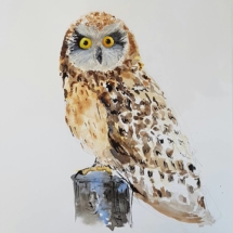 Uhu 120,00 € Größe: 40x40 cm Original